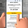 Detecting Delivery Scams